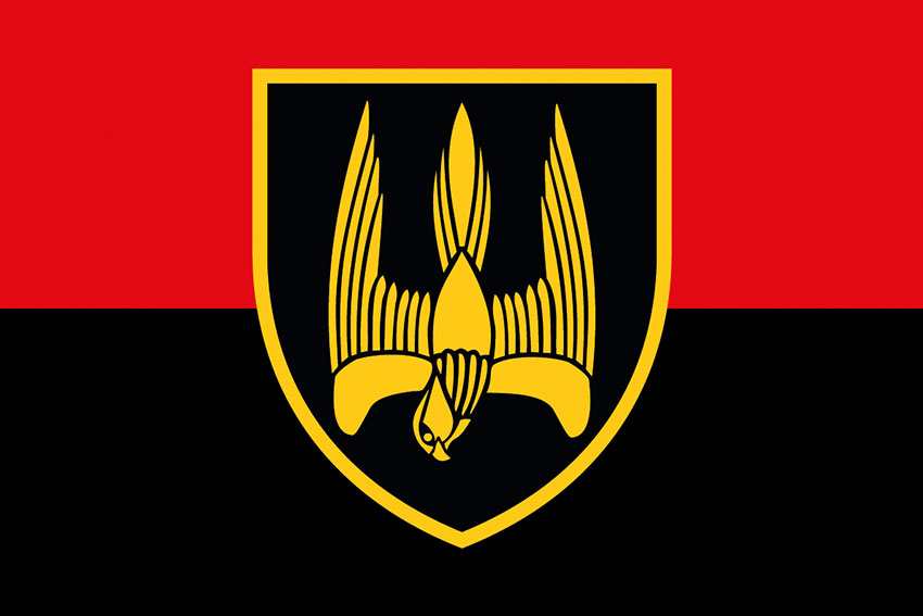 Прапор 46 окремого штурмового батальйона (46 ОШБ) «Донбас» ЗСУ червоно-чорний