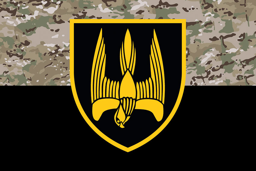 Прапор 46 окремого штурмового батальйона (46 ОШБ) «Донбас» ЗСУ камуфляж-чорний
