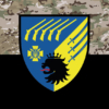prapor-53-osb-zsu-kamufliazh-chornyi.jpg