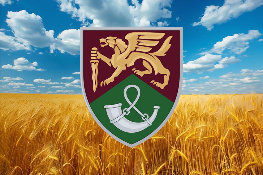 Прапор 71 ОЄБр ДШВ ЗСУ пшеничне поле