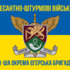 prapor-71-oyebr-dshv-zsu-new-syno-zhovtyi-3.jpg