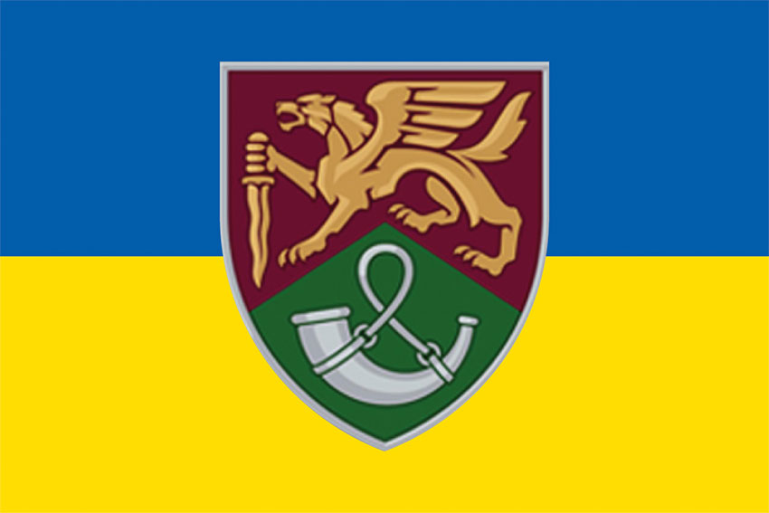 Прапор 71 ОЄБр ДШВ ЗСУ синьо-жовтий