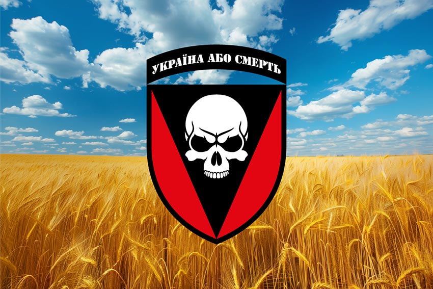 Прапор 72 ОМБр імені Чорних Запорожців ЗСУ пшеничне поле