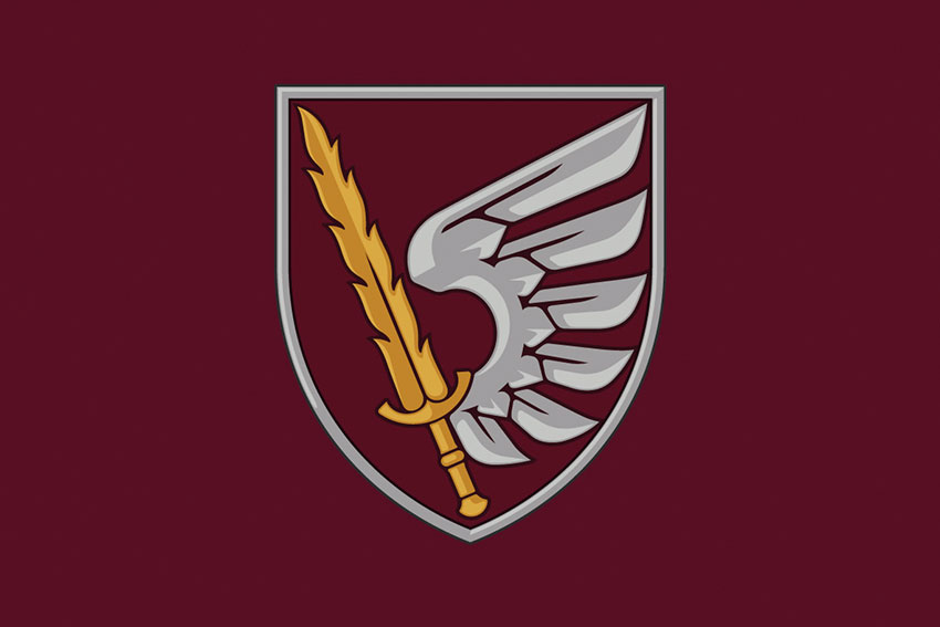 Прапор 79 ОДШБр ДШВ ЗСУ