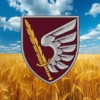 prapor-79-odshbr-dshv-zsu-pshenychne-pole.jpg