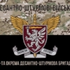 prapor-80-odshbr-dshv-zsu-kamufliazh-chornyi-1