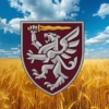 prapor-80-odshbr-dshv-zsu-pshenychne-pole