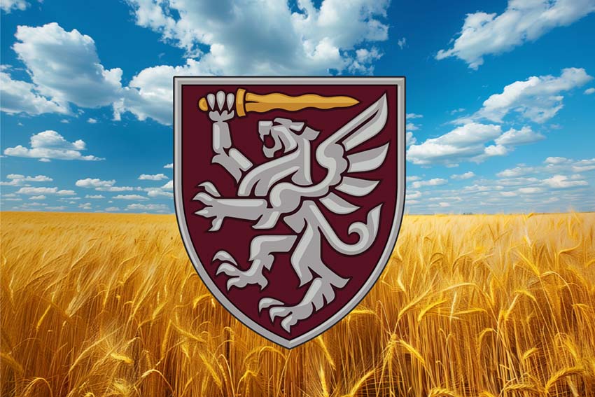 Прапор 80 ОДШБр ДШВ ЗСУ пшеничне поле