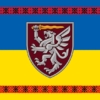 prapor-80-odshbr-okrema-desantno-shturmova-halytska-bryhada-dshv-zsu-syno-zhovtyi-z-vyshyvankoiu.jpg