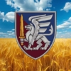 prapor-81-oaembr-dshv-zsu-pshenychne-pole
