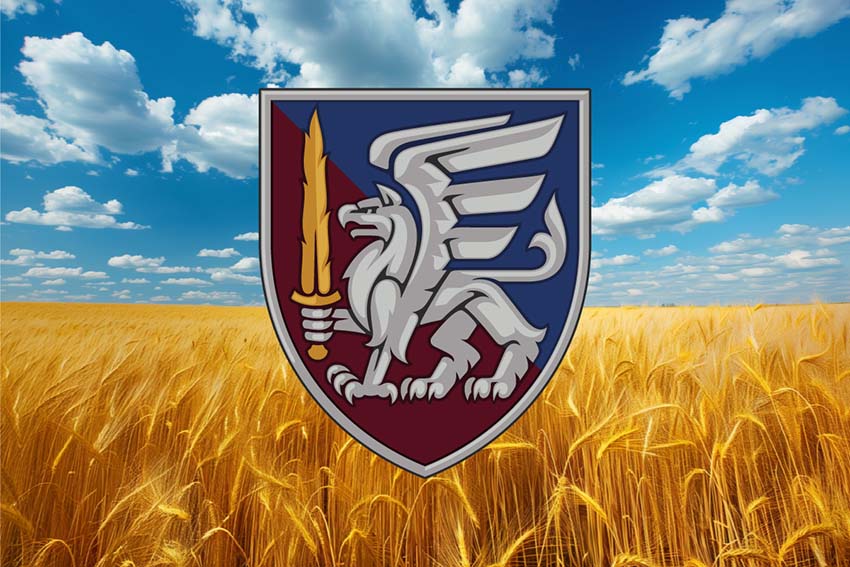 Прапор 81 ОАеМБр (окрема аеромобільна Слобожанська бригада) ДШВ ЗСУ пшеничне поле