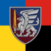 prapor-81-oaembr-dshv-zsu-zhovto-synii-chervono-chornyi