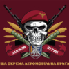 prapor-81-oaembr-slobozhanska-dshv-zsu-zavzhdy-pershi-bordovyi