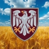 prapor-82-odshbr-dshv-zsu-pshenychne-pole.jpg