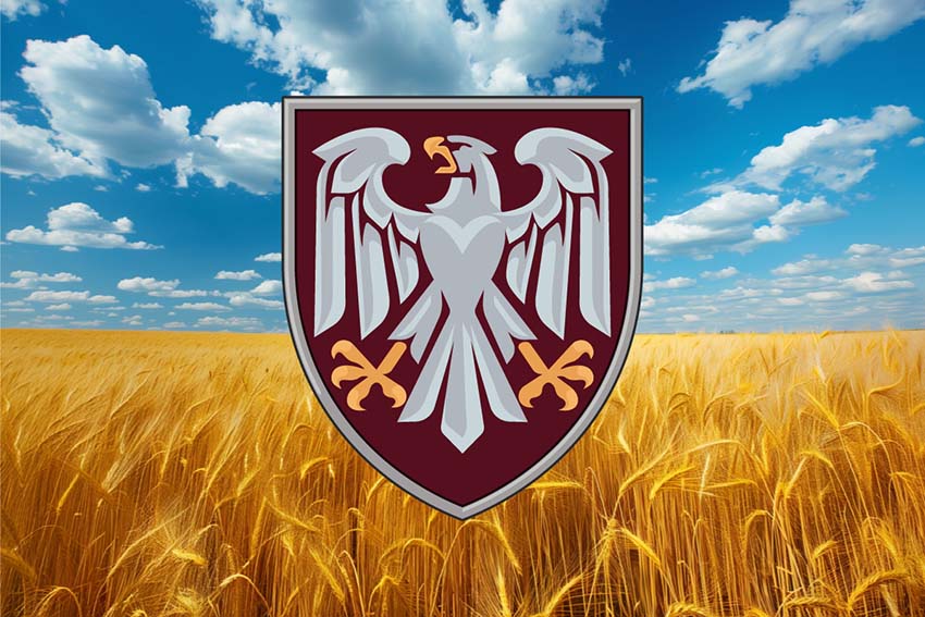 Прапор 82 ОДШБр ДШВ ЗСУ пшеничне поле