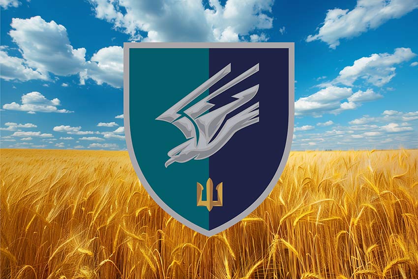 Прапор 88 окремого батальйону морської піхоти (88 ОБМП) ЗСУ пшеничне поле