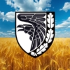 prapor-93-ombr-kholodnyi-iar-zsu-pshenychne-pole.jpg