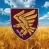 prapor-95-odshbr-dshv-zsu-pshenychne-pole