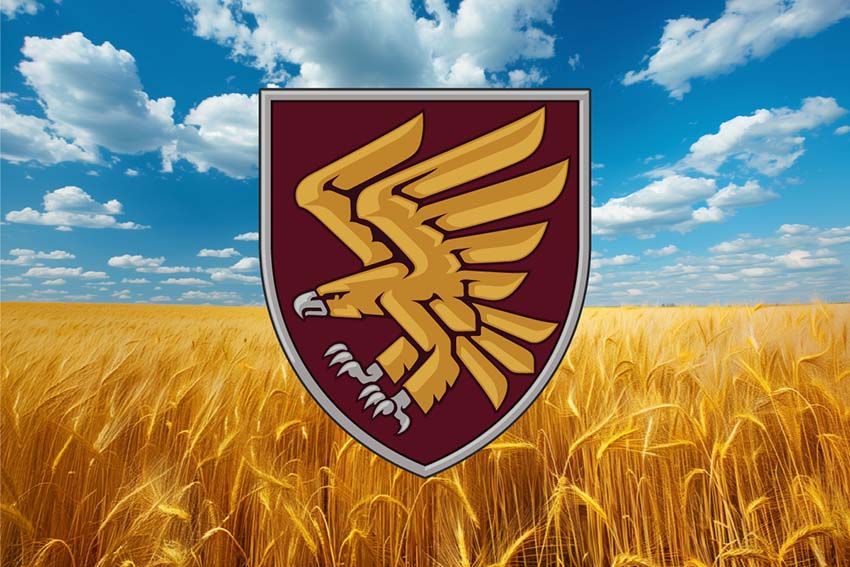 Прапор 95 ОДШБр (окрема десантно-штурмова Поліська бригада) ДШВ ЗСУ пшеничне поле