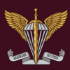 prapor-desantno-shturmovykh-viisk-dshv.png