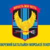 prapor-dshr-1-obmp-feodosiiskoho-vms-ukrainy-syno-zhovtyi-1.jpg