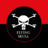 prapor-flying-skull-chervono-chornyi