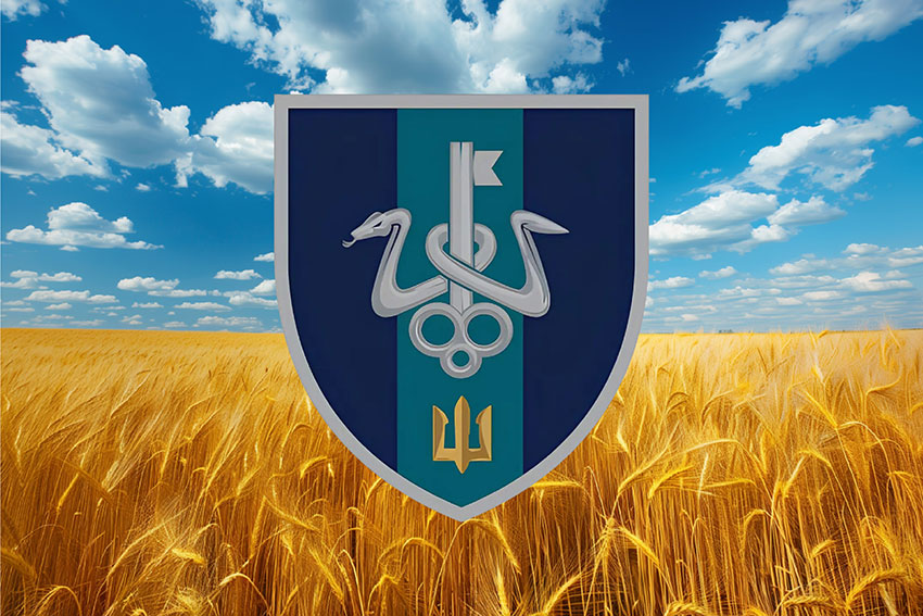 Прапор школи морського піхотинця ВМС України пшеничне поле