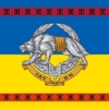 prapor-sso-ukrainy-syno-zhovtyi-z-vyshyvankoiu.jpg