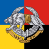 prapor-sso-ukrainy-zhovto-synii-chervono-chornyi.jpg