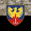 prapor-tsentru-medychnoi-reabilitatsii-ta-sanatornoho-likuvannia-odeskyi-kamufliazh-chornyi.jpg