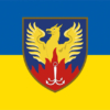 prapor-tsentru-medychnoi-reabilitatsii-ta-sanatornoho-likuvannia-odeskyi-syno-zhovtyi.jpg