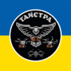 prapor-udarnoho-pidrozdilu-taistra-u-skladi-10-ohshbr-zsu-syno-zhovtyi