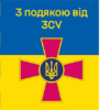 prapor-z-podiakoiu-vid-zsu-syno-zhovtyi-4.jpg