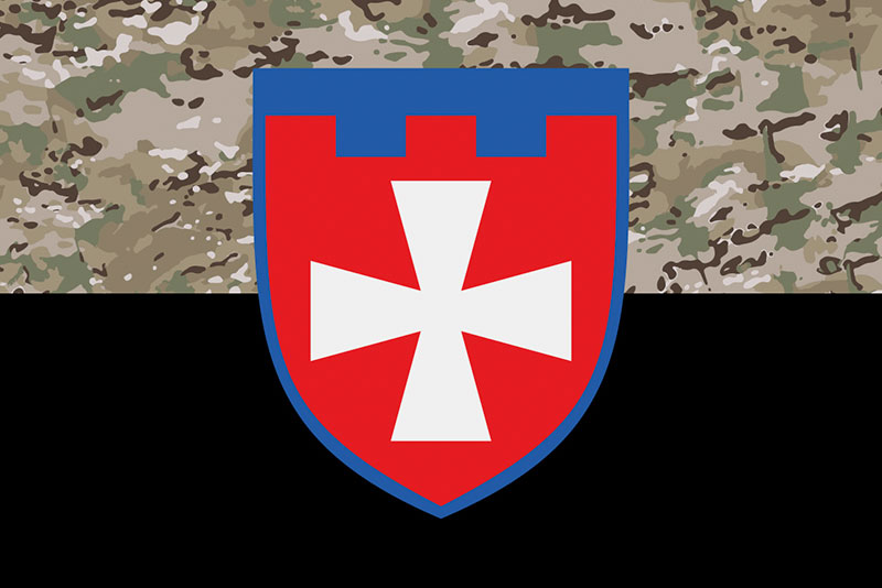 Прапор ЗСУ 104 ОБрТрО камуфляж-чорний