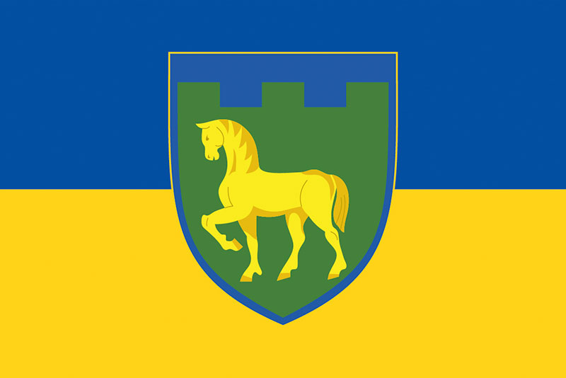 Прапор ЗСУ 111 ОБрТрО (окрема бригада територіальної оборони) синьо-жовтий