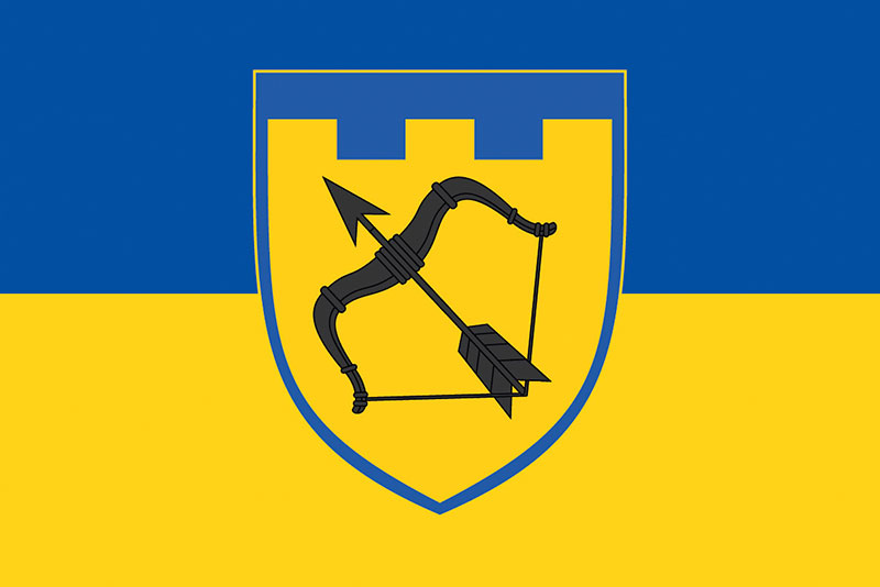 Прапор ЗСУ 113 ОБрТрО (окрема бригада територіальної оборони) синьо-жовтий