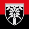 prapor-zsu-128-ohshbr-okrema-hirsko-shturmova-bryhada-zakarpatska-chervono-chornyi.jpg