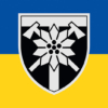 prapor-zsu-128-ohshbr-okrema-hirsko-shturmova-bryhada-zakarpatska-syno-zhovtyi.jpg