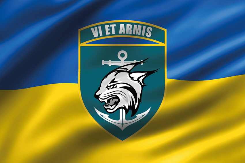 Прапор 137 ОБМП ЗСУ 3D синьо-жовтий