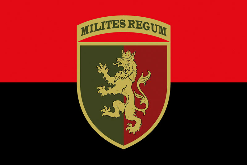 Прапор ЗСУ 24 ОМБр (окрема механізована бригада) імені короля Данила червоно-чорний