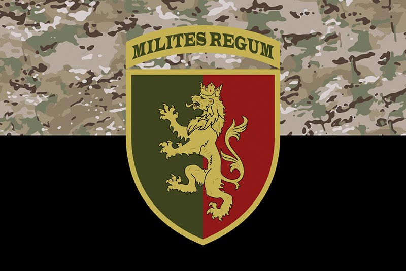 Прапор ЗСУ 24 ОМБр (окрема механізована бригада) імені короля Данила камуфляж-чорний