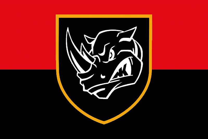 Прапор ЗСУ 4 ОТБр (окремої танкової бригади) імені Івана Виговського червоно-чорний