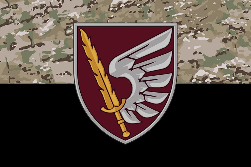 Прапор ЗСУ 79 ОДШБр (окрема десантно-штурмова бригада) камуфляж-чорний