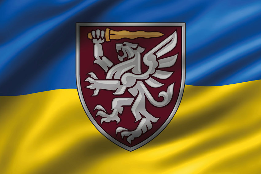 Прапор 80 ОДШБр ДШВ ЗСУ 3D синьо-жовтий