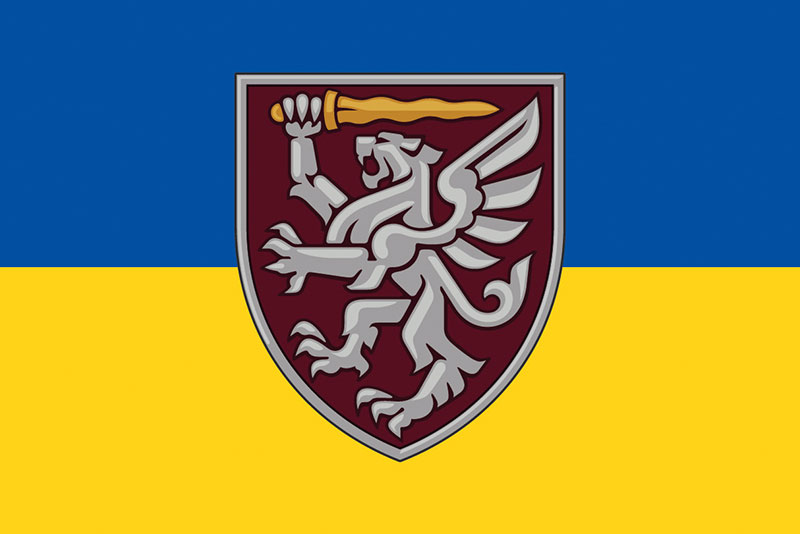 Прапор 80 ОДШБр ДШВ ЗСУ синьо-жовтий