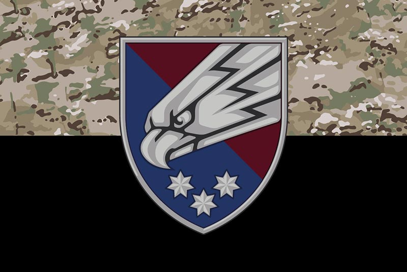 Прапор ЗСУ ДШВ 25 ОПДБр (окрема повітряно-десантна бригада) Січеславська камуфляж-чорний