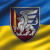 prapor-zsu-dshv-81-oaembr-3d-syno-zhovtyi.jpg