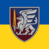 prapor-zsu-dshv-81-oaembr-okrema-aeromobilna-bryhada-syno-zhovtyi
