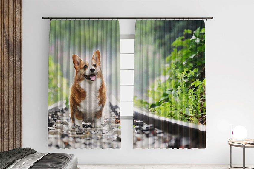 Happy Corgi