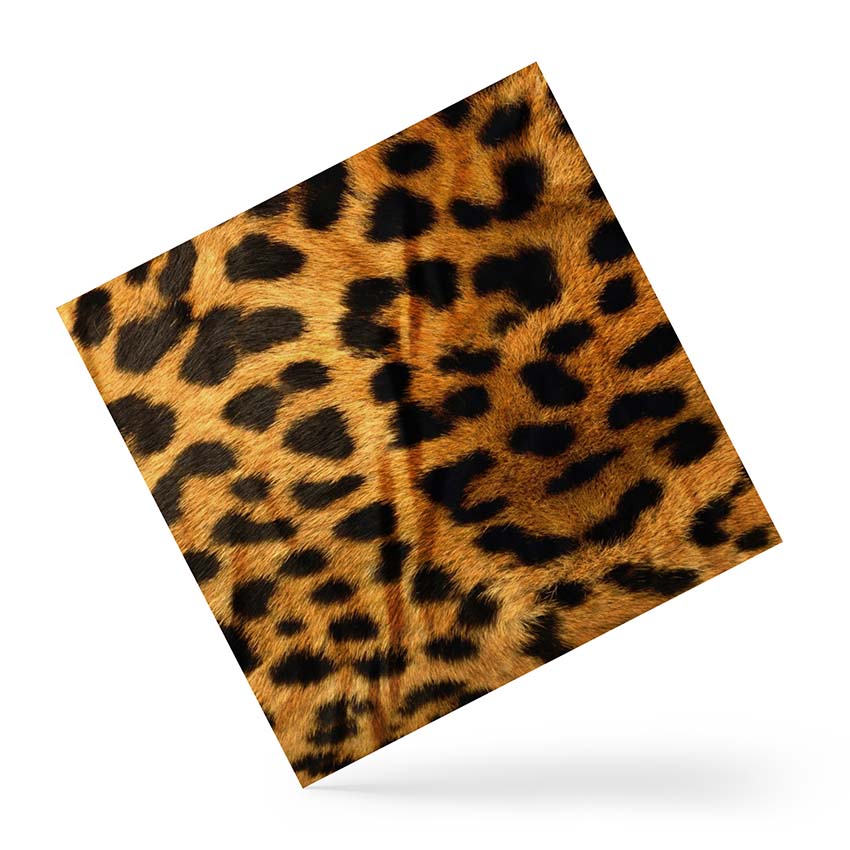 Хустка Шкіра Леопарда Leopard skin
